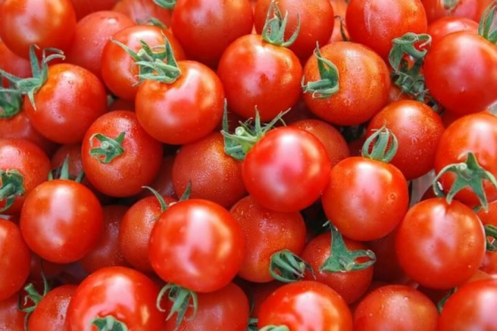 قیمت گوجه‌فرنگی در بازار به‌ زودی متعادل می‌شود