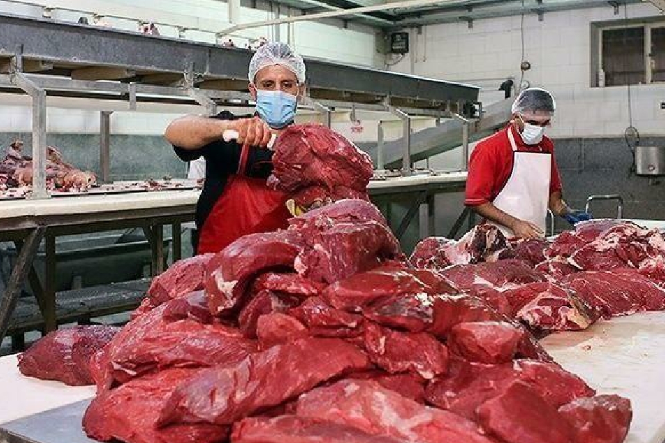 تکذیب آمارهای ارائه شده درباره نصف شدن مصرف گوشت قرمز
