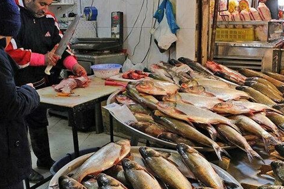 قیمت ماهی شب عید با عرضه مستقیم در میادین متعادل می‌شود