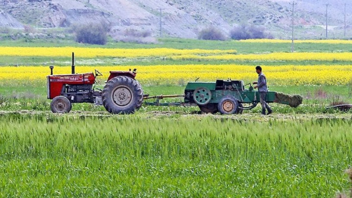 افزایش تولید کالاهای اساسی و تنظیم بازار در ۱۰۰ روز